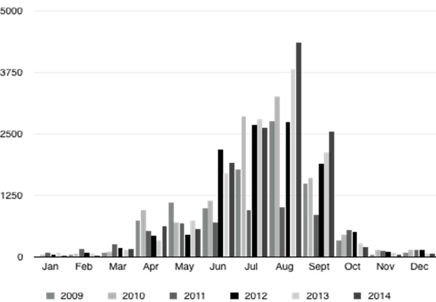 Figure 3: Arrivals in Menfi per month. Data: District of Agrigento